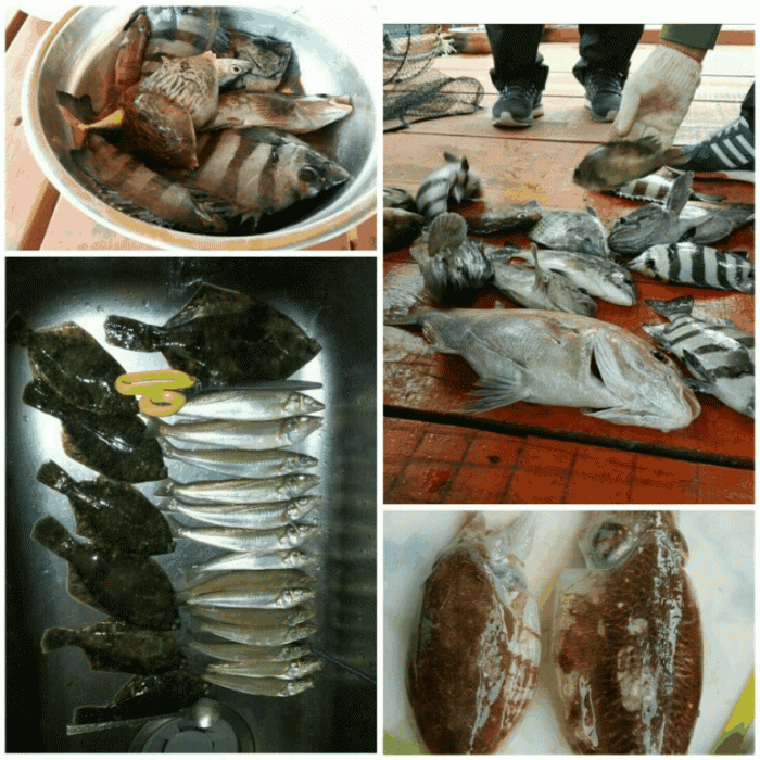 6cccc8e1782ceef7d6a0a40e42ce1bf5.gif
